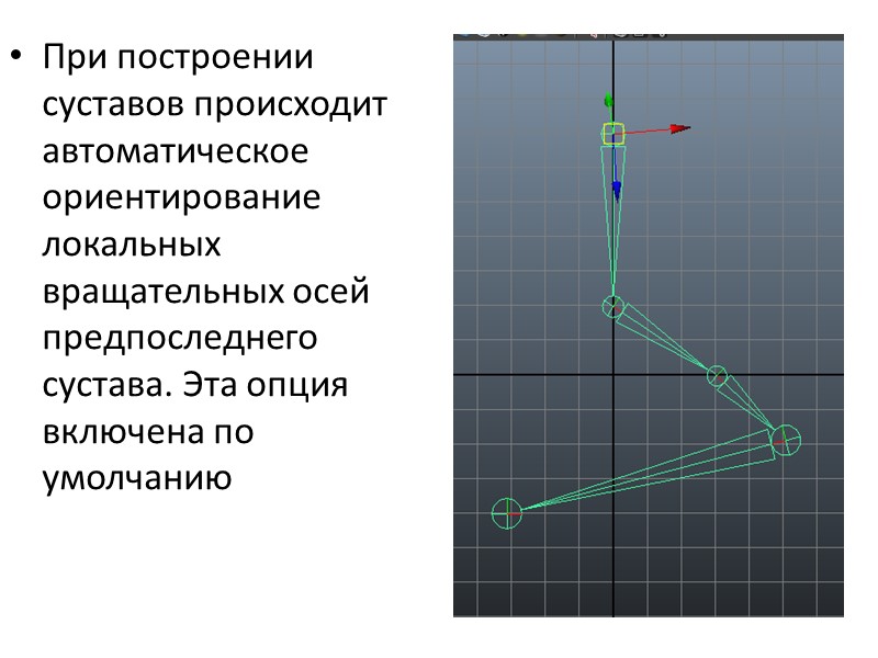 При построении суставов происходит автоматическое ориентирование локальных вращательных осей предпоследнего сустава. Эта опция включена